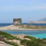 Der Strand la Pellosa auf der Halbinsel Stintino in Nordwestsardinien ist ein spektakulärer Ort zum Heiraten auf Sardinien