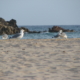 Costa del Sud, Sardiniens Südküste