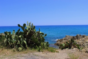 Hochzeit am Naturstrand Cala Liberotto