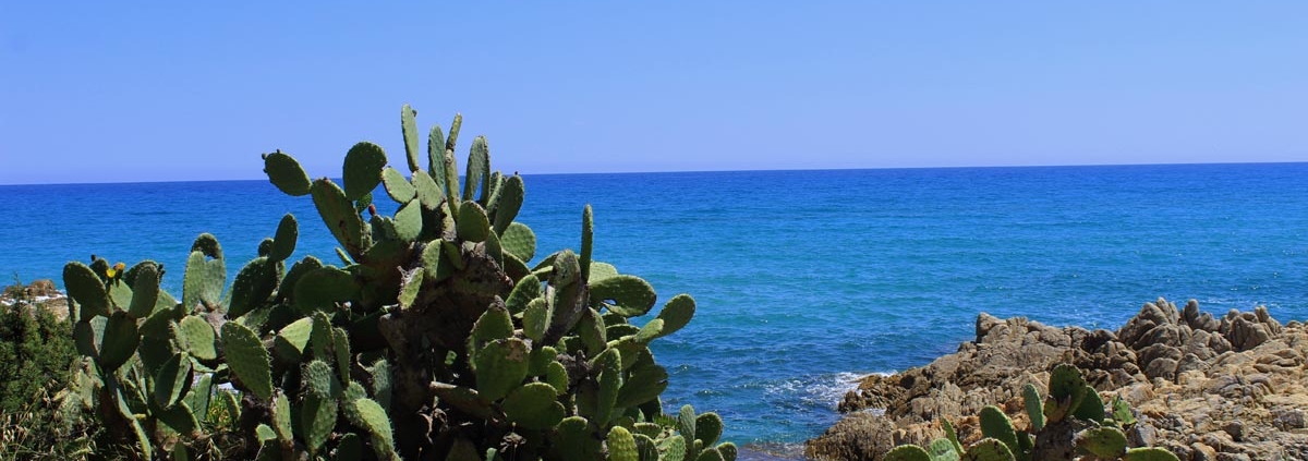 Heiraten am Strand mit Sardinien-Hochzeit.com