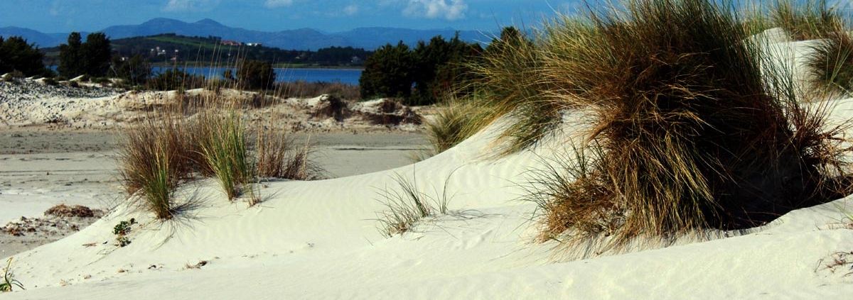 Finde deine perfekte Hochzeitslocation in Sardinien für deine Strandhochzeit am Meer