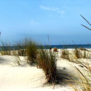 Costa Del Sud, in Südsardinien wechseln sich Fels- und Pudersandstrände ab