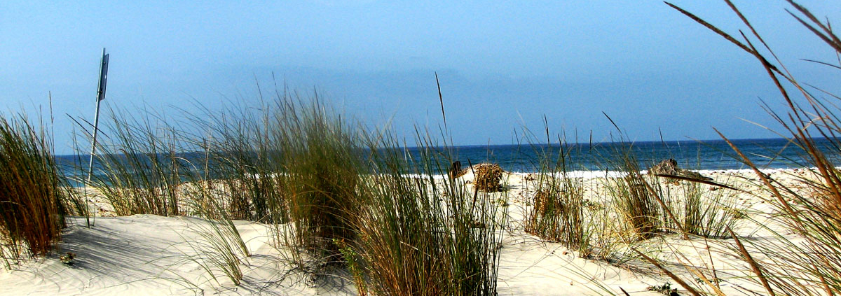 Hochzeit in Dünen auf weissem Sand in Porto Pino in Südsardinien