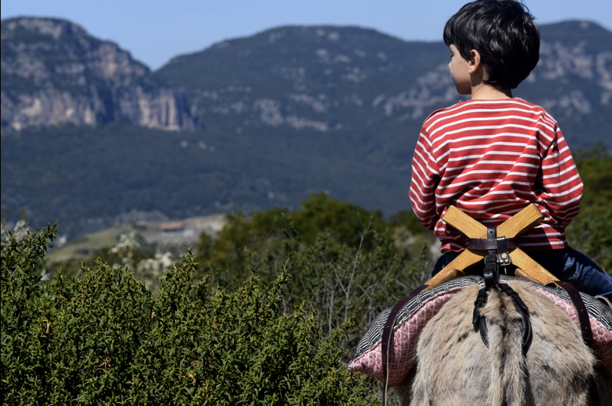 Eselreiten in Sardinien