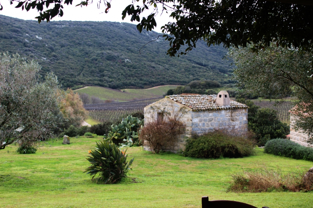 Weindegustatione oder Hochzeit in Sardinien - das besondere Weingut