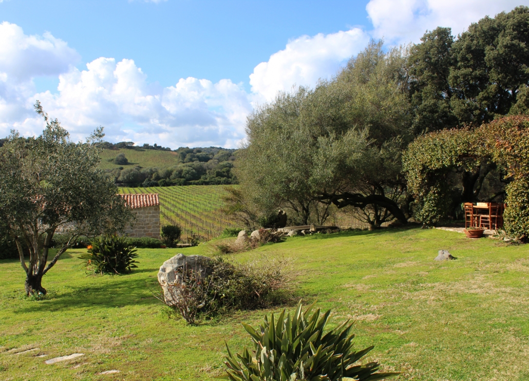 Buche ein Top-Event bei Hochzeit-Catering-Sardinien